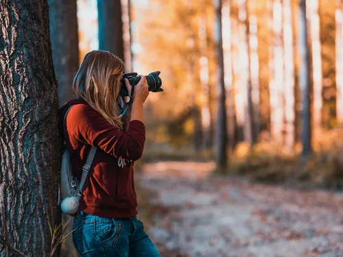 A person takes pictures in an autumn forest.