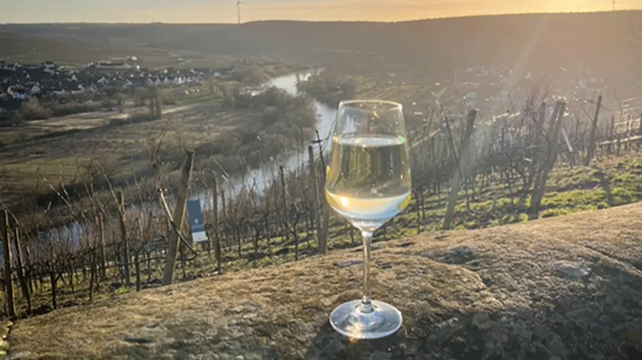 Wine glass on vineyard wall, overlooking river.