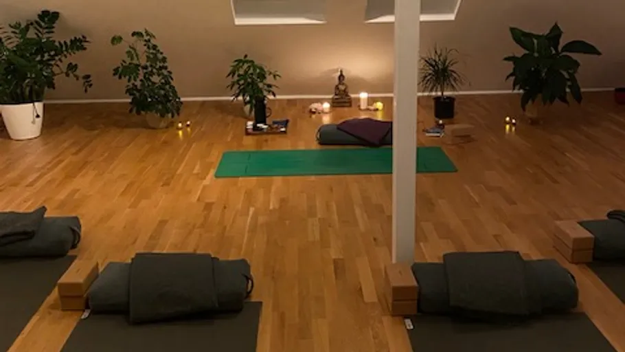 Yoga studio with mats, pillows, and plants.