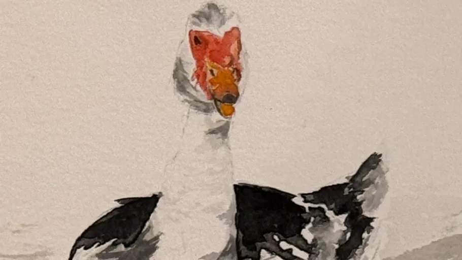 Duck illustrated on paper background.