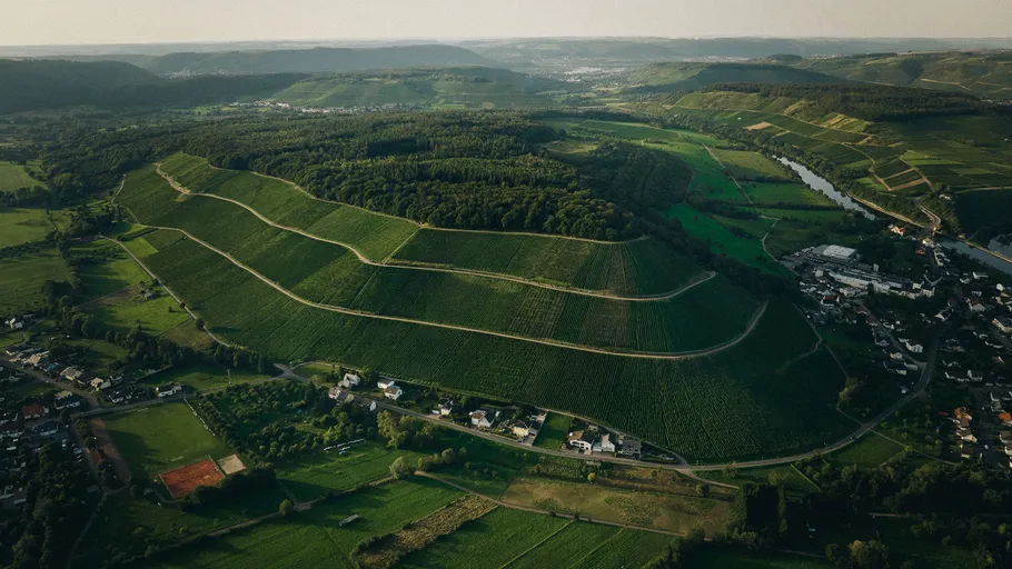 Luftaufnahme von grünen Weinbergen und Landschaft.