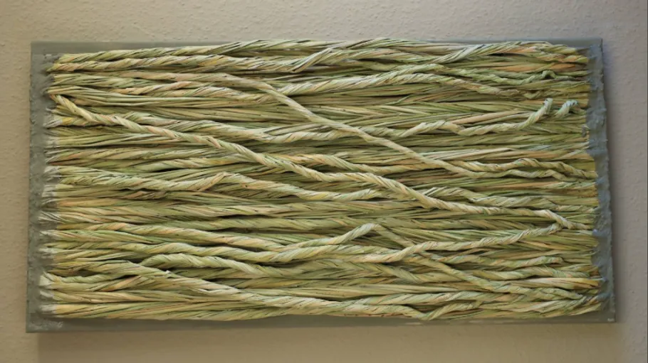 Twisted grass strands mounted on a wall.