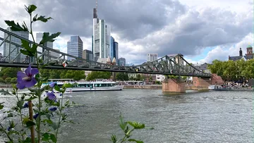 Bridge over river with skyscrapers and flowers.