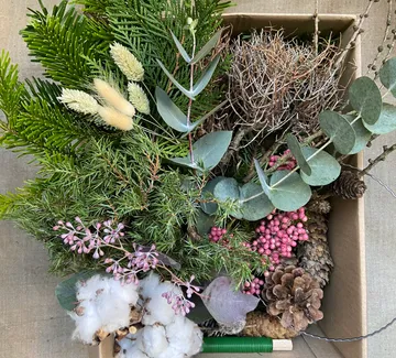 Kiste mit verschiedenen getrockneten Pflanzen und Blumen.