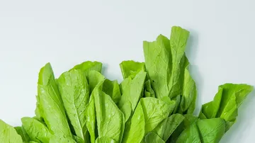 Frische grüne Salatblätter vor weißem Hintergrund.