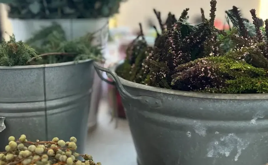 Metal buckets filled with greenery on table.