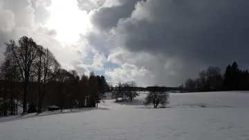 Snowy field, overcast sky, scattered trees.