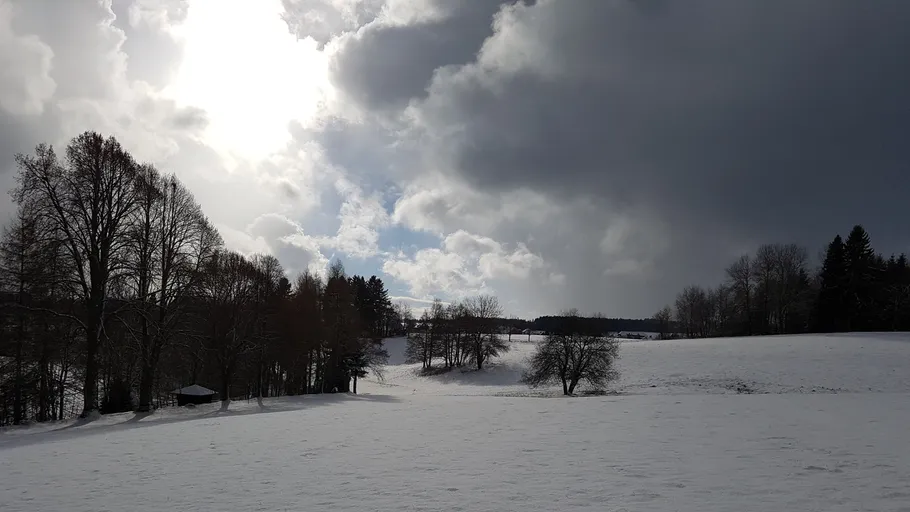Verschneites Feld, bewölkter Himmel, verstreute Bäume.