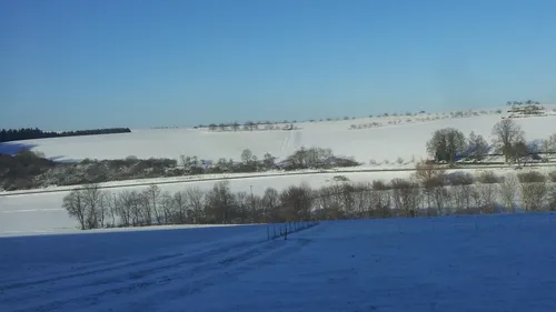 Snow-covered fields with trees under blue sky.