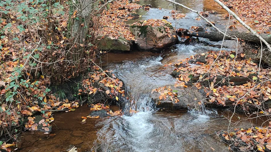 Bach fließt durch Herbstblätter im Wald.