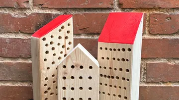 Wooden bee hotels with red roofs mounted on wall.