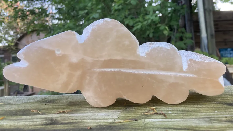 Steinfischskulptur auf Holzoberfläche im Freien.