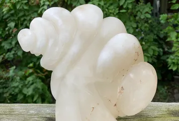 Weiße Muschelkulptur auf Holzoberfläche.