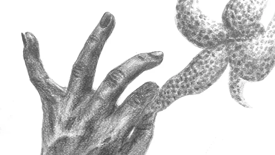 Hand touches textured object in drawing.
