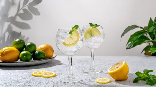 Two cocktails with lemons, mint on table.