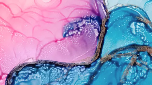 Abstrakte rosa und blaue Aquarellmalerei.