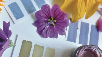 Color swatches with purple and yellow flowers.