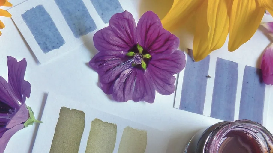 Color swatches with purple and yellow flowers.