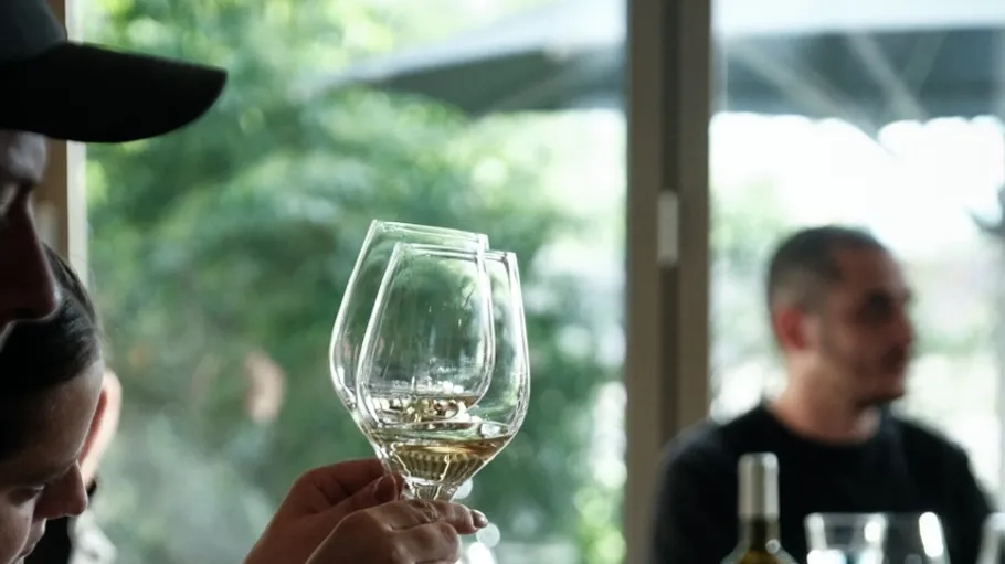 Person holding wine glasses at table.