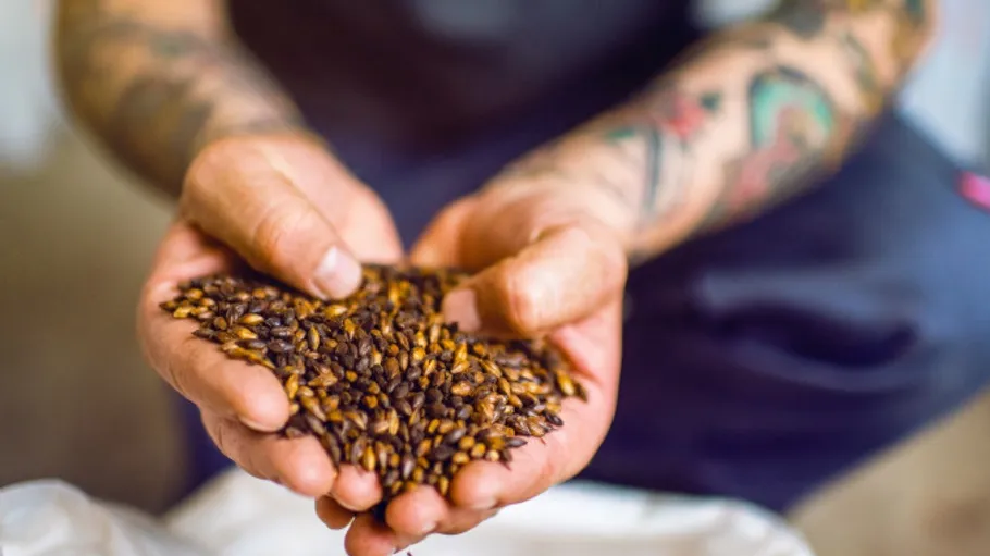 Tattooed hands holding grain indoors.