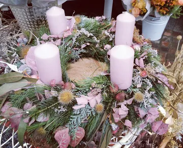 Adventskranz mit vier rosa Kerzen und Grünpflanzen.