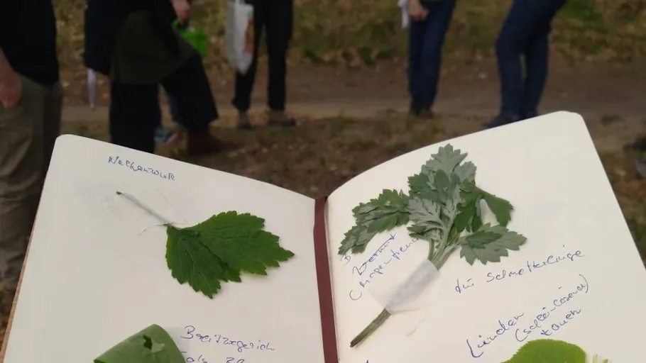 Offenes Notizbuch mit Pflanzproben im Freien.