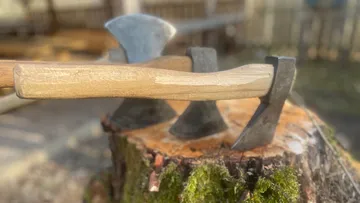 Axe resting on tree stump outdoors.