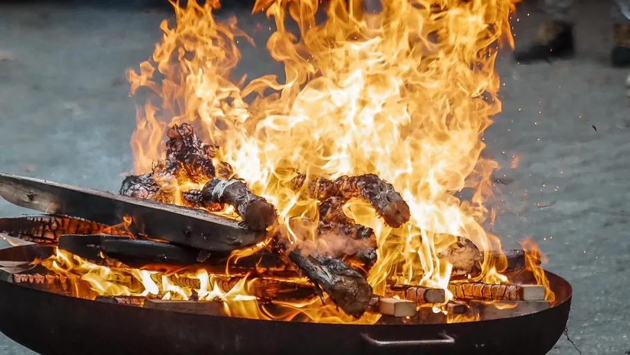 Wood logs burning in outdoor fire pit.