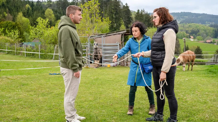 Three people hold ropes on a grassy field.