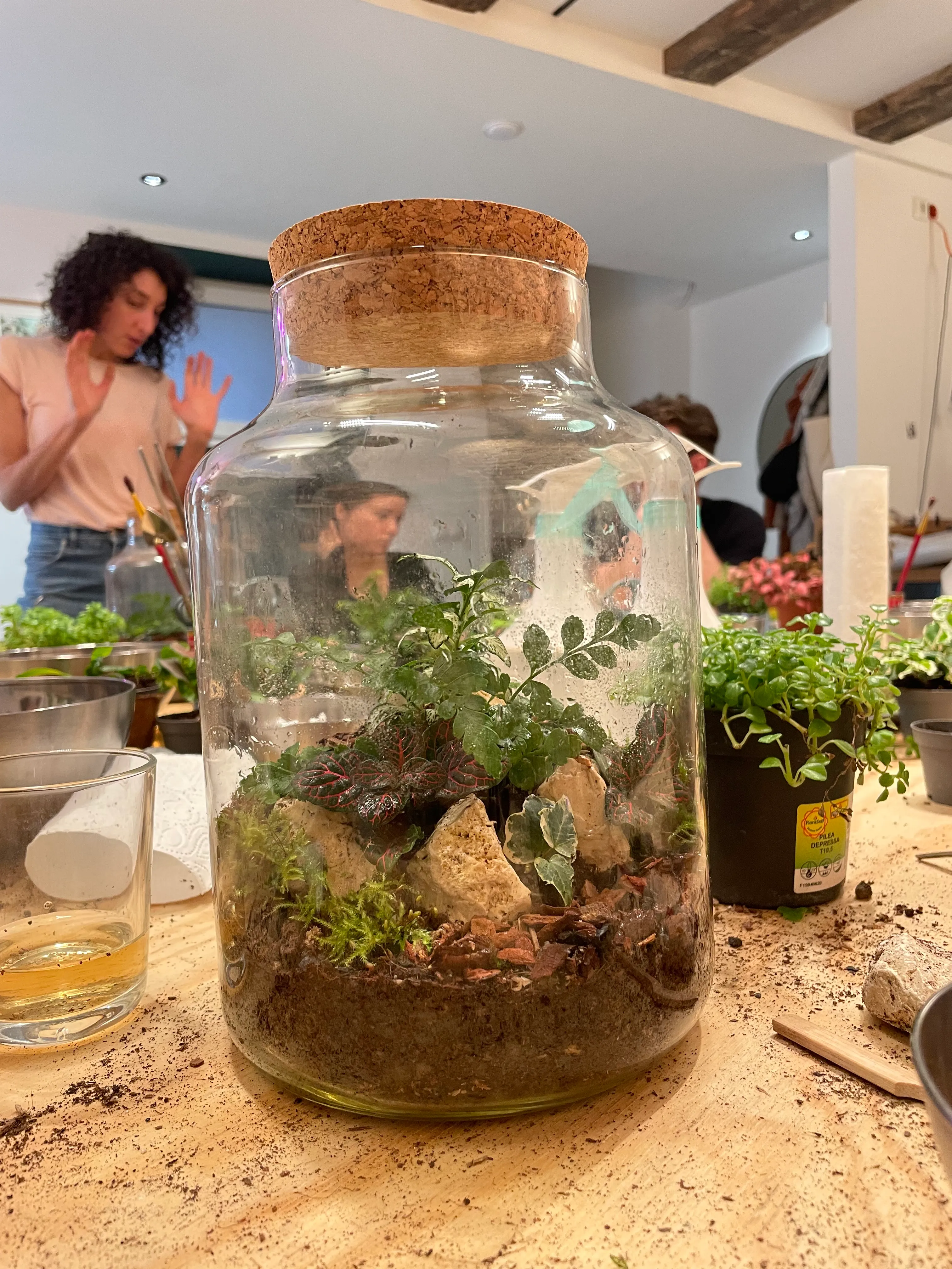Terrarium auf Tisch mit Personen im Hintergrund.