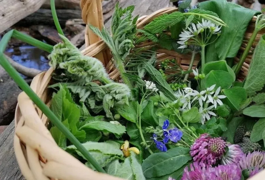 Basket filled with fresh wild greens and flowers.