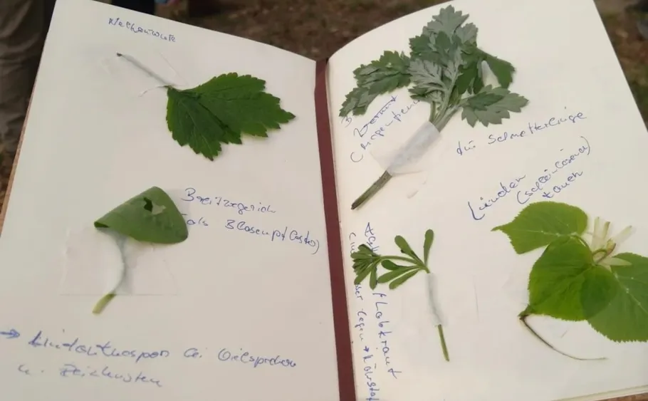 Notebook with taped leaves, handwritten notes.