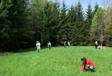 Menschen sammeln im Waldlichtung.