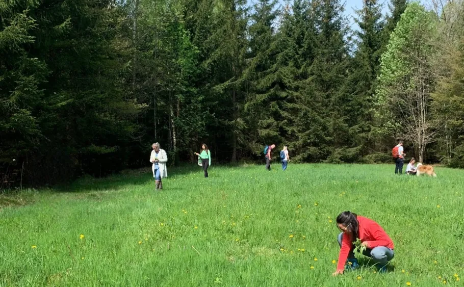 People foraging in grassy clearing near woods.