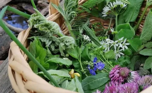 Basket filled with various wildflowers and herbs.