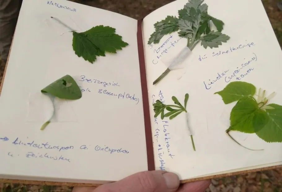 Notizbuch mit gepressten Blättern und handschriftlichen Notizen.