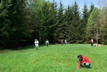 People foraging in a grassy forest clearing.