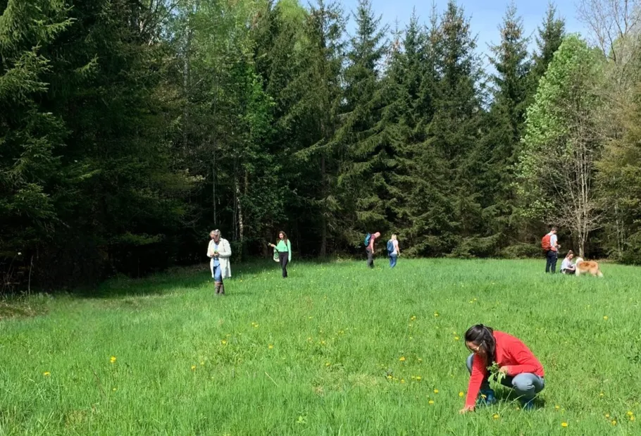 People foraging in a forest meadow.