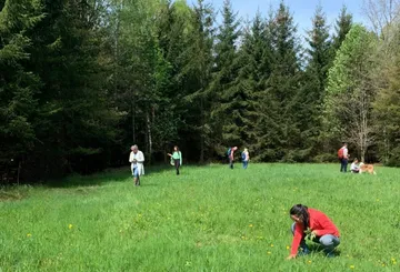 People walking and picking flowers in forest meadow.