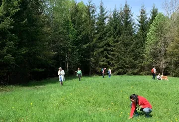 People gathering herbs in a forest clearing.