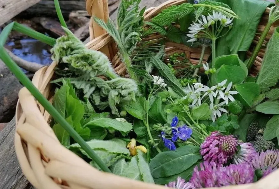 Basket of assorted herbs and wildflowers outdoors.