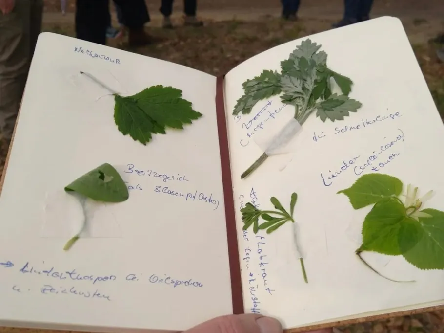 Offenes Notizbuch mit Blättern und Notizen.