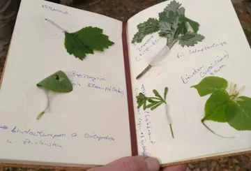Notizbuch mit eingeklebten Blättern und Anmerkungen.