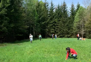 People walking and picking flowers in field.