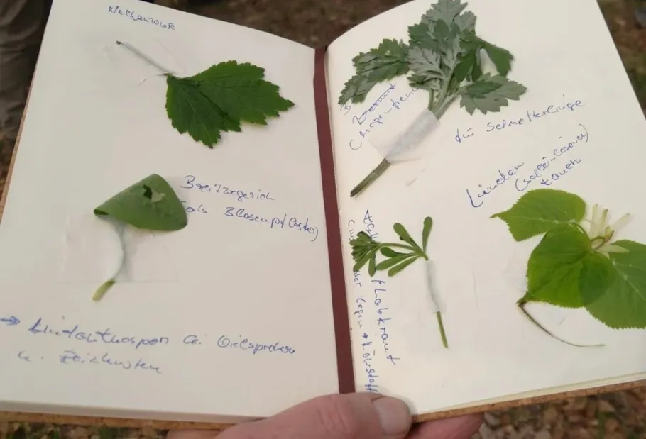 Notizbuch mit gepressten Blättern und Anmerkungen.
