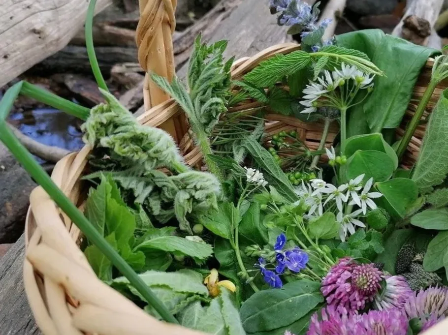 Basket of assorted herbs and wildflowers outdoors.