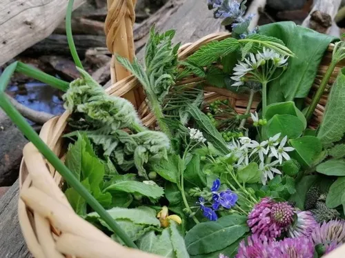 Korb mit frischen Kräutern und Blumen draußen.