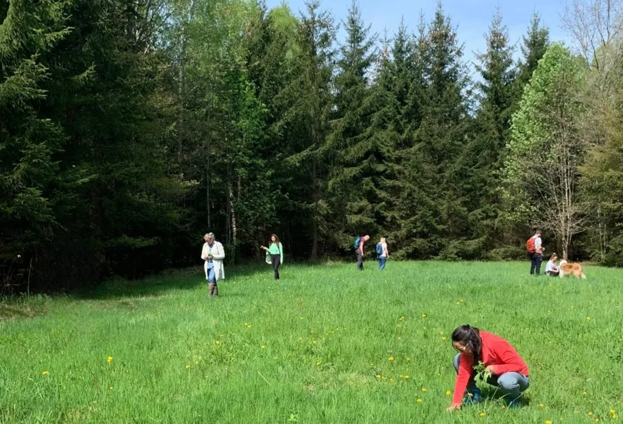 Menschen sammeln auf grüner Wiese nahe Wald.