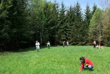 People foraging in grassy field near forest.