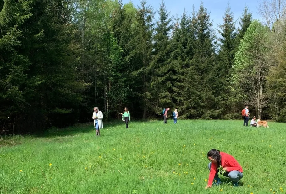 Menschen sammeln im Grasfeld nahe Wald.